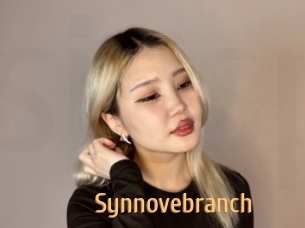 Synnovebranch