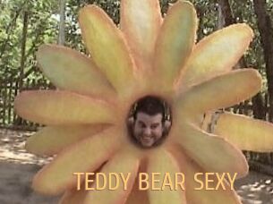 TEDDY_BEAR_SEXY