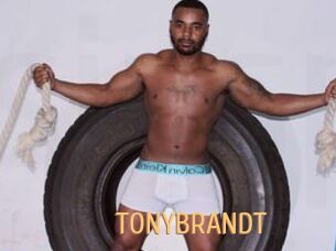 TONYBRANDT