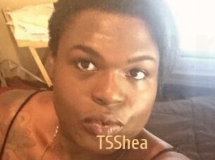 TS_Shea
