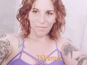 TS_Venus