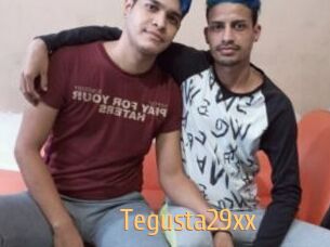 Tegusta29xx