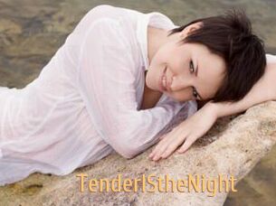TenderIStheNight