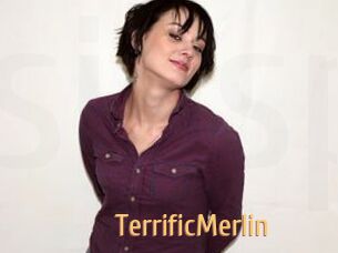 TerrificMerlin