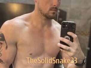 TheSolidSnake23