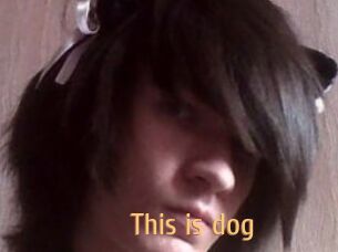 This_is_dog