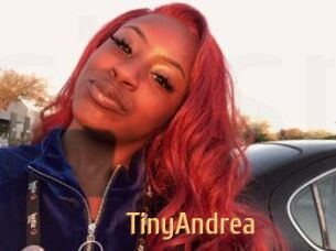 TinyAndrea