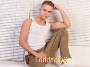 ToddYorkX