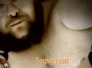 Toyservent