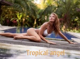 Tropical_angel