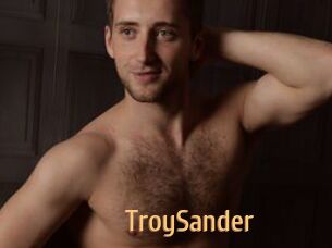 TroySander