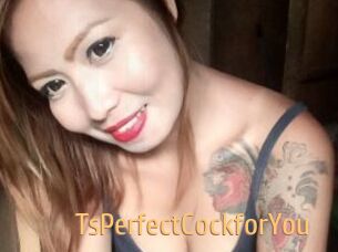 TsPerfectCockforYou