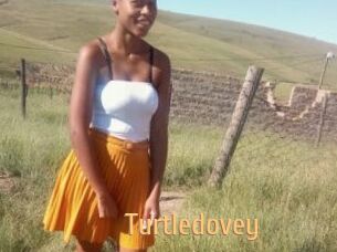 Turtledovey