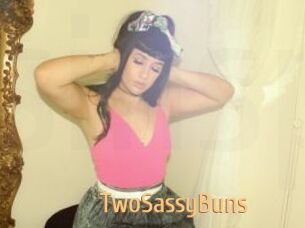 TwoSassyBuns