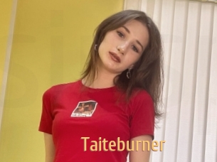 Taiteburner