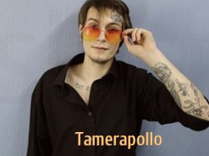 Tamerapollo