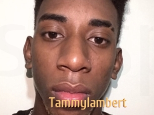 Tammylambert