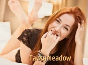 Tansymeadow