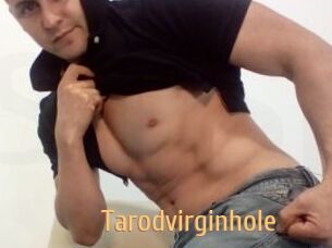 Tarodvirginhole