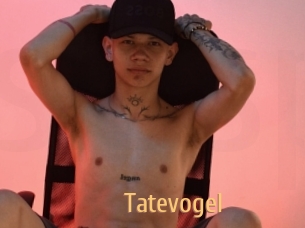 Tatevogel