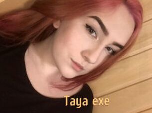 Taya_exe