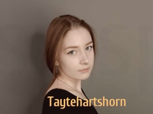 Taytehartshorn