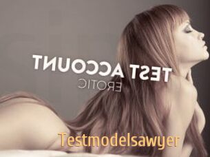 Testmodelsawyer