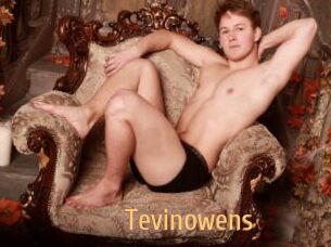 Tevinowens