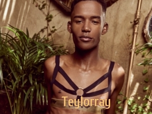 teylorray Single Spass