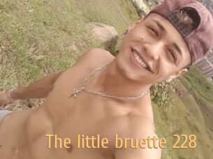 The_little_bruette_228