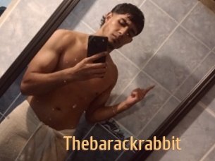 Thebarackrabbit