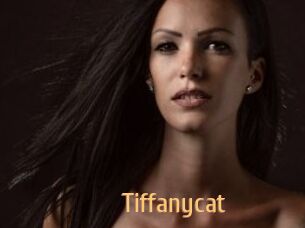 Tiffanycat