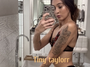 Tiny_taylorr