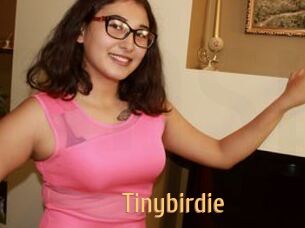 Tinybirdie