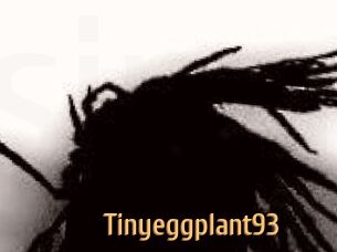 Tinyeggplant93