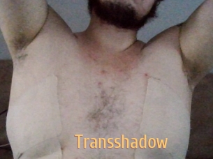 Transshadow