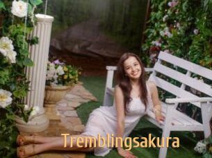 Tremblingsakura