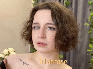 Trishrose