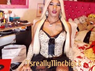 tsreally11incbigck Single Spass