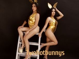 Twohotbunnys