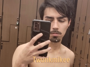Twunkmikee