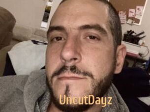 UncutDayz
