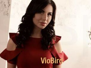 VioBird