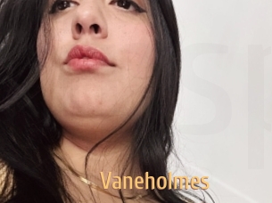 Vaneholmes