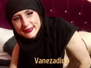 Vanezadina