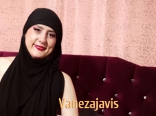 Vanezajavis