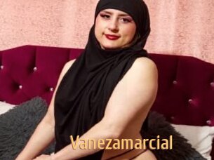 Vanezamarcial