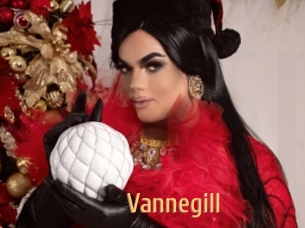 vannegill Single Spass