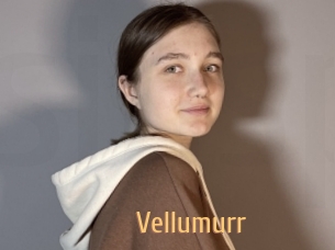 Vellumurr