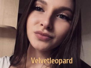 Velvetleopard